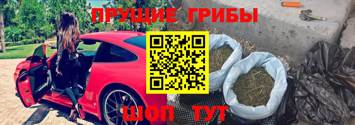 Сланцы  Псилоцибиновые грибы Psilocybine cubensis  Вход с VPN  Галлюциногенные грибы Magic Shrooms 