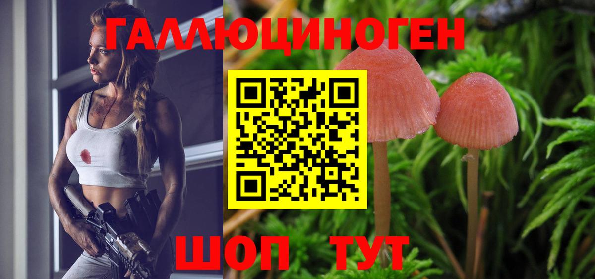Псилоцибиновые грибы MAGIC MUSHROOMS Сланцы