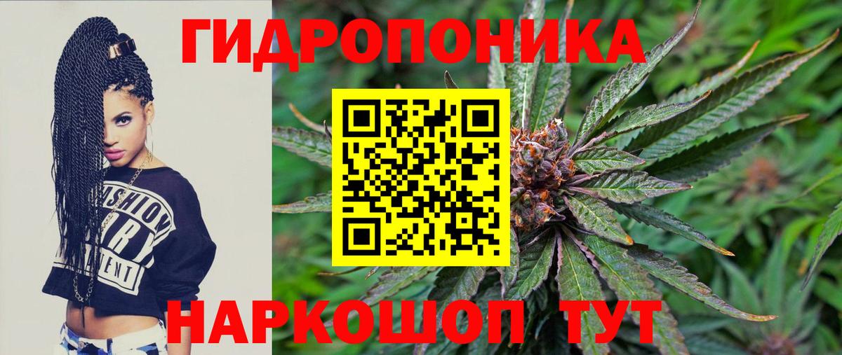 Бошки марихуана ГИДРОПОН Сланцы